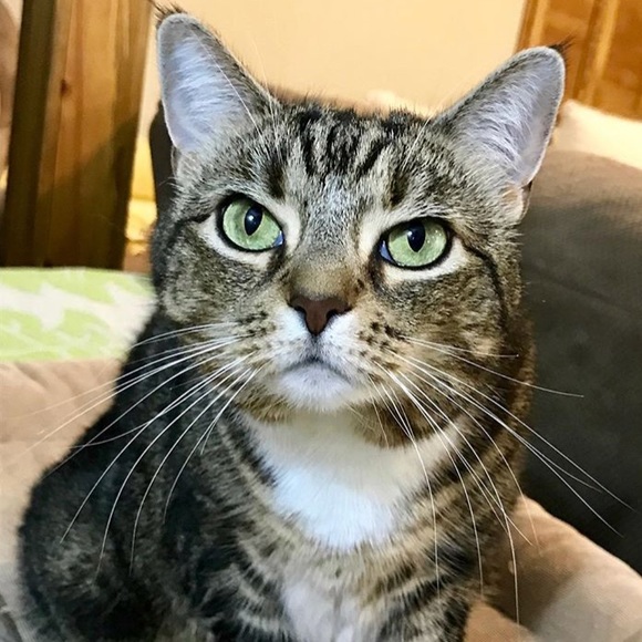 Meet your Posher, J - Picture 1 of 1